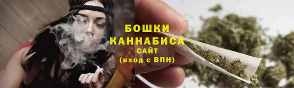 молекула духа Осташков
