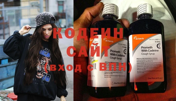 молекула духа Осташков