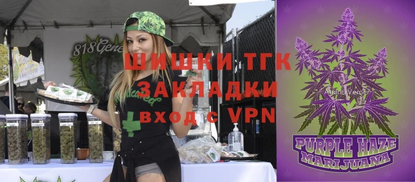 МДПВ Няндома