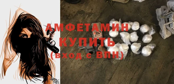 молекула духа Осташков