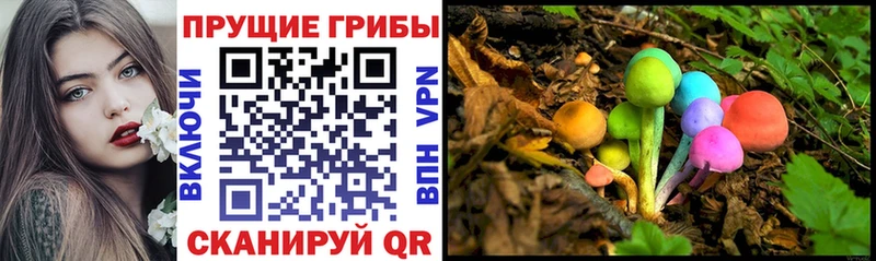 что такое наркотик  Боготол  Галлюциногенные грибы Magic Shrooms 